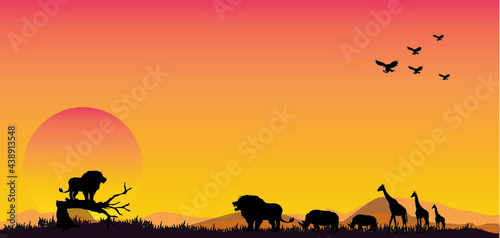 Amazing Panorama sunset and sunrise. Dramatic sunrise.Safari theme.Amazing sunset and sunrise.