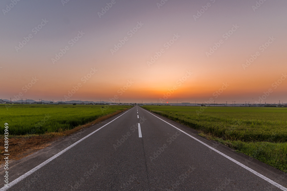 夏の夕暮れ、田舎の一本道を散歩しよう 夏の夕暮れ、田舎の一本道を散歩しよう