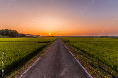 夏の夕暮れ、田舎の一本道を散歩しよう © 摩訶不思議