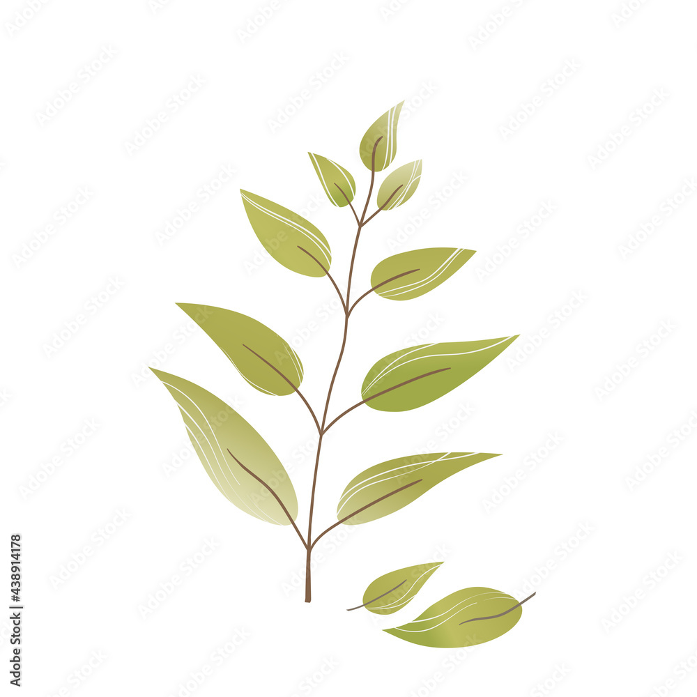 Hand drawn color leaf. Cute isolated element. Modern floral compositions. Tropic brown branches. Vector stock illustration. Clip art for stationery, web design, wallpaper, card.