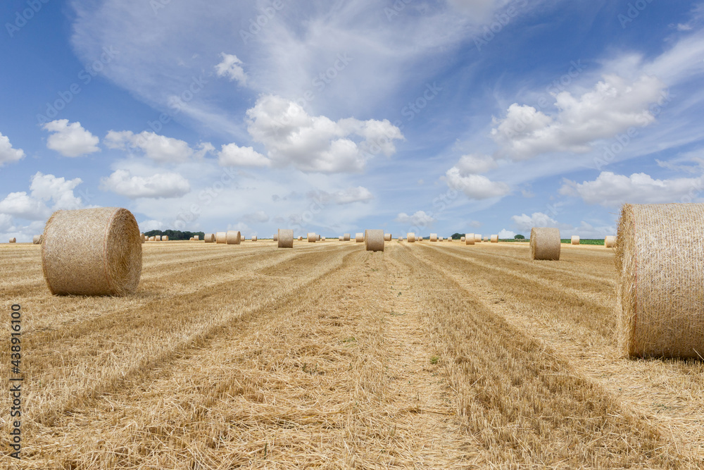 Fototapeta premium Straw bales stacked in a field at summer time, Reims