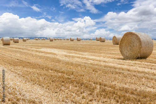 Straw bales stacked in a field at summer time, Reims