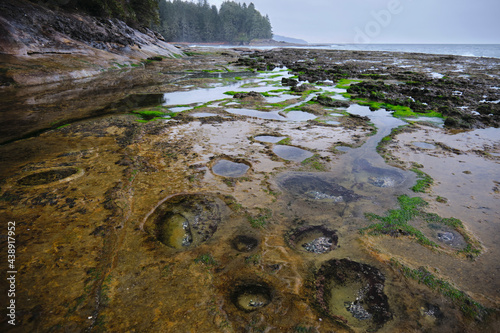 Cuadro en lienzo Tide pools on Botanical beach near Tofino