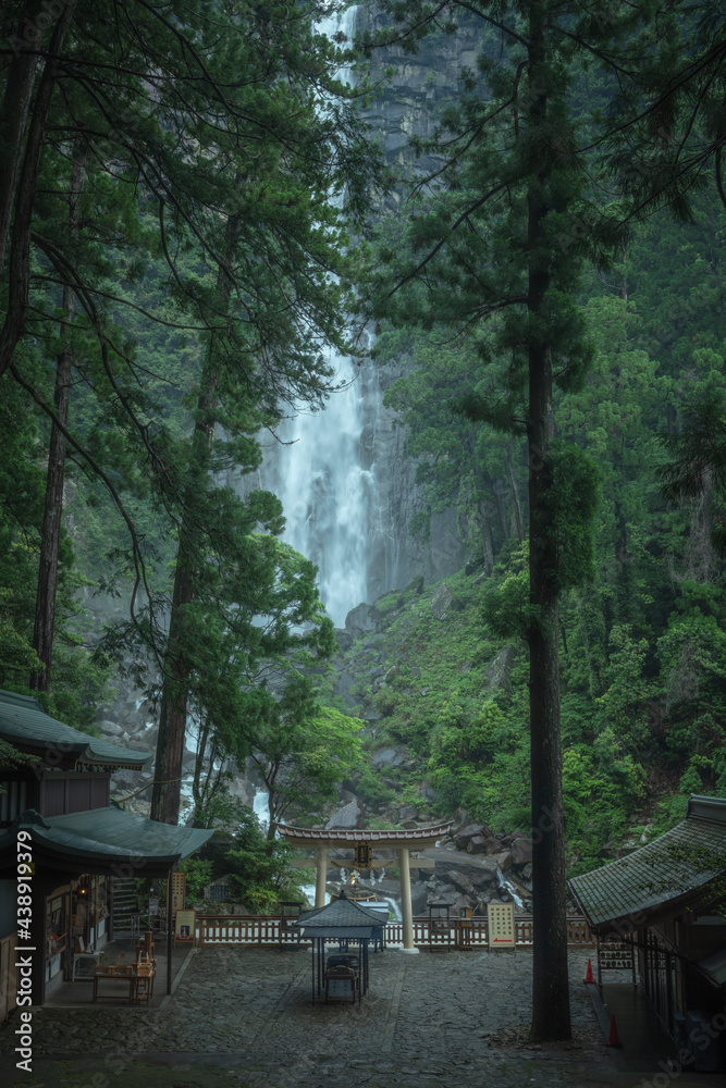 和歌山県 那智の滝 新緑 和歌山県 那智の滝 新緑
