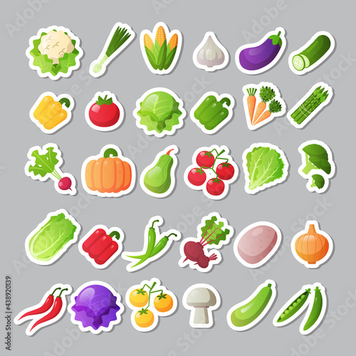 set fresh vegetables icons different stickers collection healthy food concept