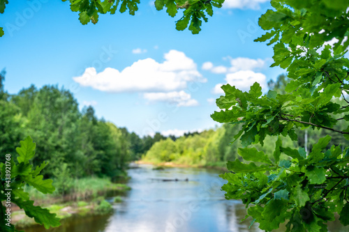 Summer Landscape. focus on fresh green oak foliage. forest River And Clouds On The Blue Sky. Nature landscape photography