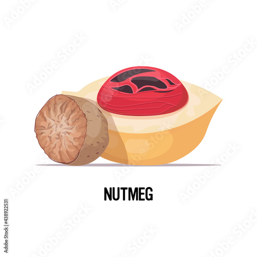 ripe nutmeg fruit isolated on white background healthy vegetarian food concept