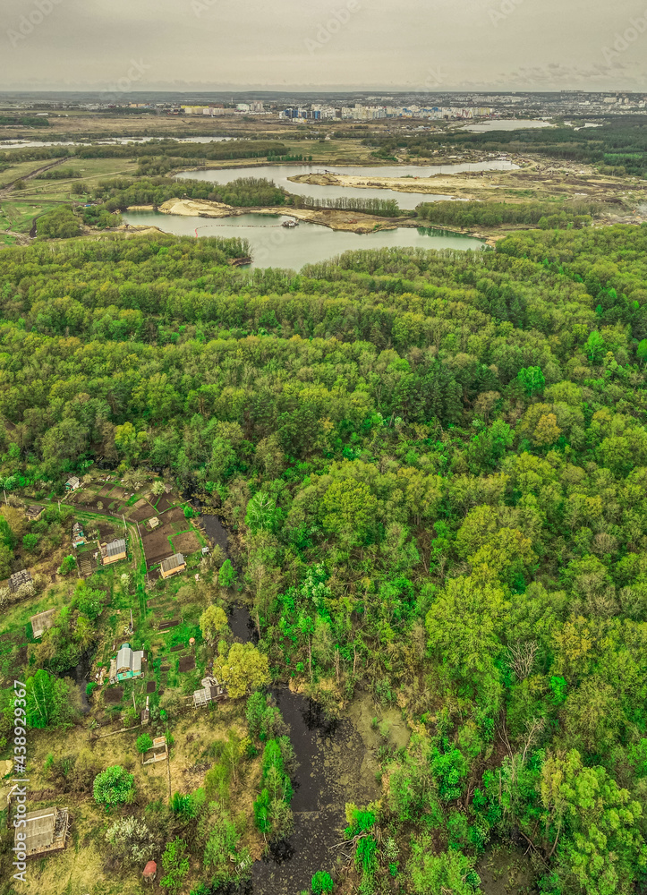 Fototapeta premium wilderness landscape in the countryside in the forest