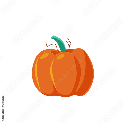 One big ripe orange pumpkin for Thanksgiving, for Halloween. Vegetables from the garden