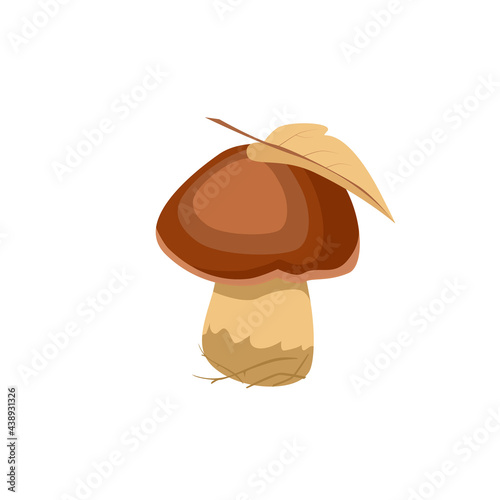 One edible white boletus mushroom with a leaf on a brown cap, isolated on a white background. Forest plants