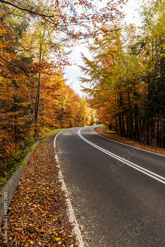 Road in colorful autumn forest bellow Przelecz Salmopolska in Beskid Slaski mountains in Poland