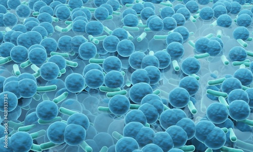 Biofilm, drug resistant bacteria on  surface of a biofilm photo