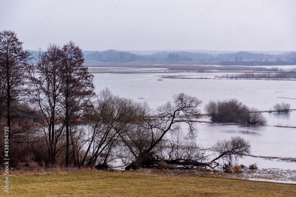 Przedwiośnie nad Biebrzą, Podlasie, Polska