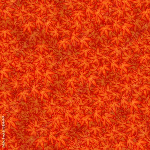 秋の背景イメージ 画面いっぱいの紅葉 （1）
