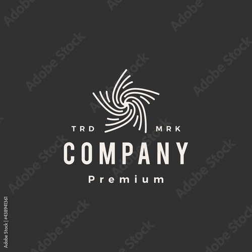 star maze hipster vintage logo vector icon illustration