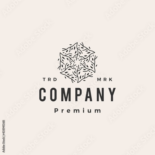 tree branch cube box hexagonal hipster vintage logo vector icon illustration