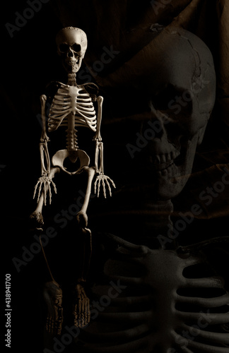 Fototapeta Naklejka Na Ścianę i Meble -  squelette humain et son fantôme en arrière plan