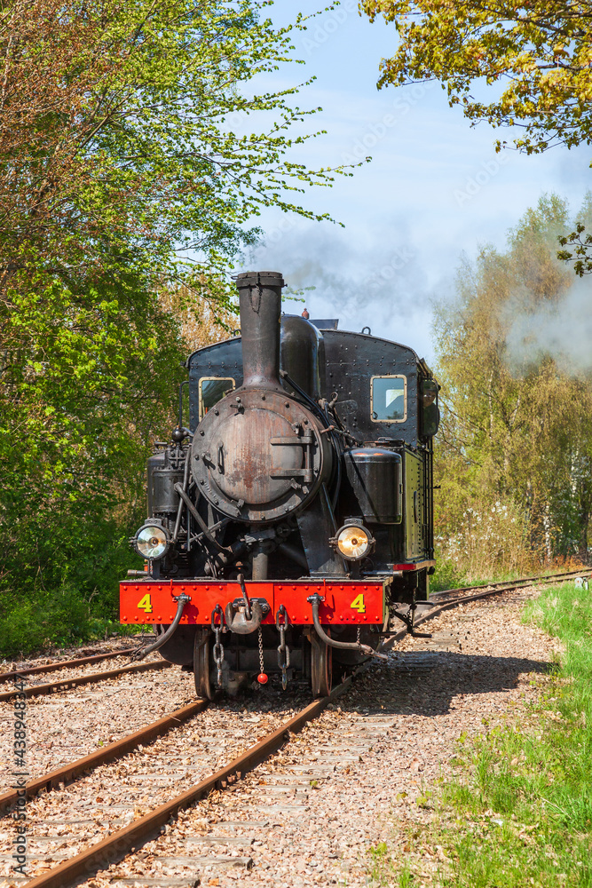 Naklejka premium Old steam locomotive driving on the railway in a lush green forest