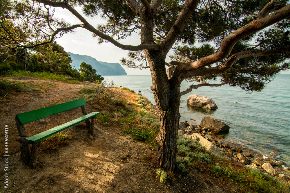 Bench with a Black sea view 
