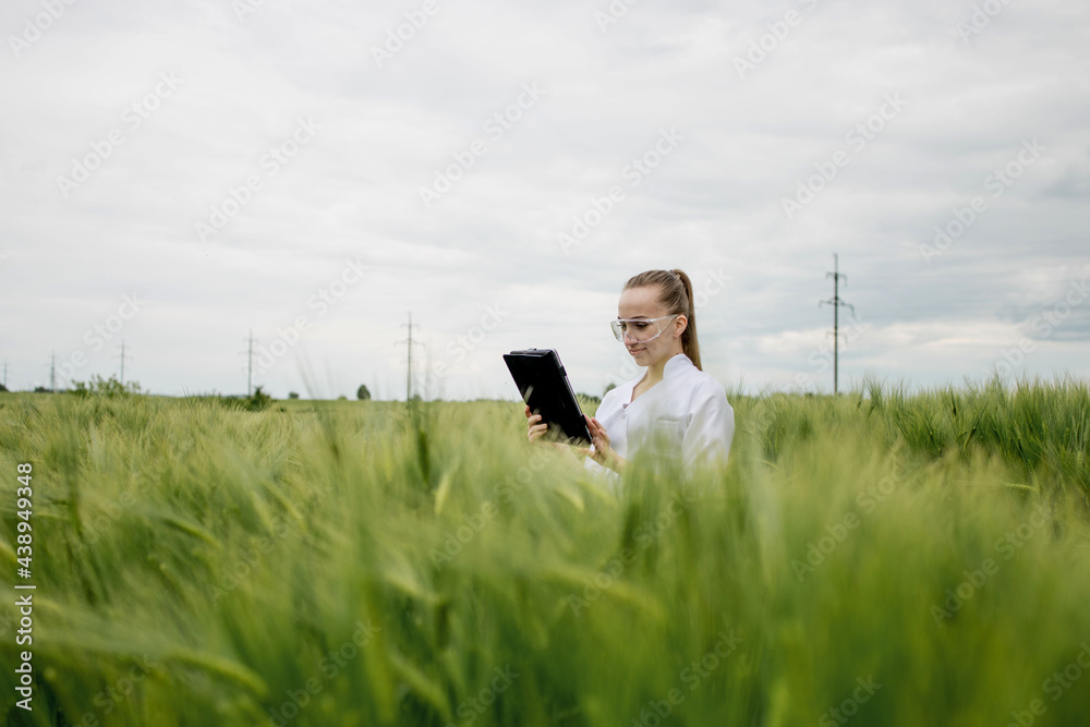 Young woman farmer wearing white bathrobe is checking harvest progress on a tablet at the green wheat field. New crop of wheat is growing. Agricultural and farm concept. Young woman farmer wearing white bathrobe is checking harvest progress on a tablet at the green wheat field. New crop of wheat is growing. Agricultural and farm concept.