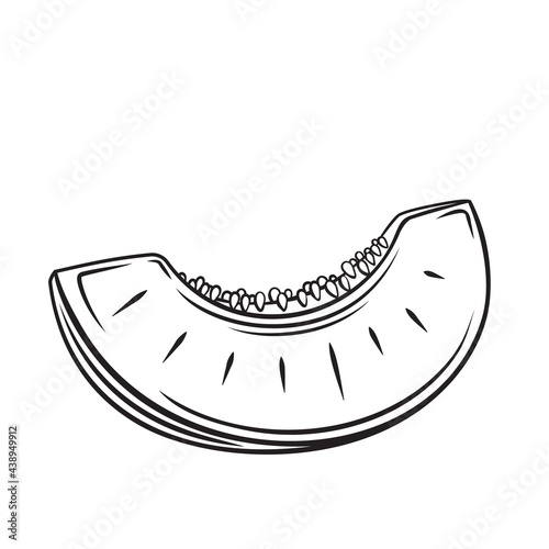 Slice melon fruit outline vector icon, drawing monochrome illustration. Healthy nutrition, organic food, vegetarian product.
