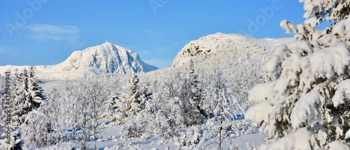 Bitihorn vinter photo