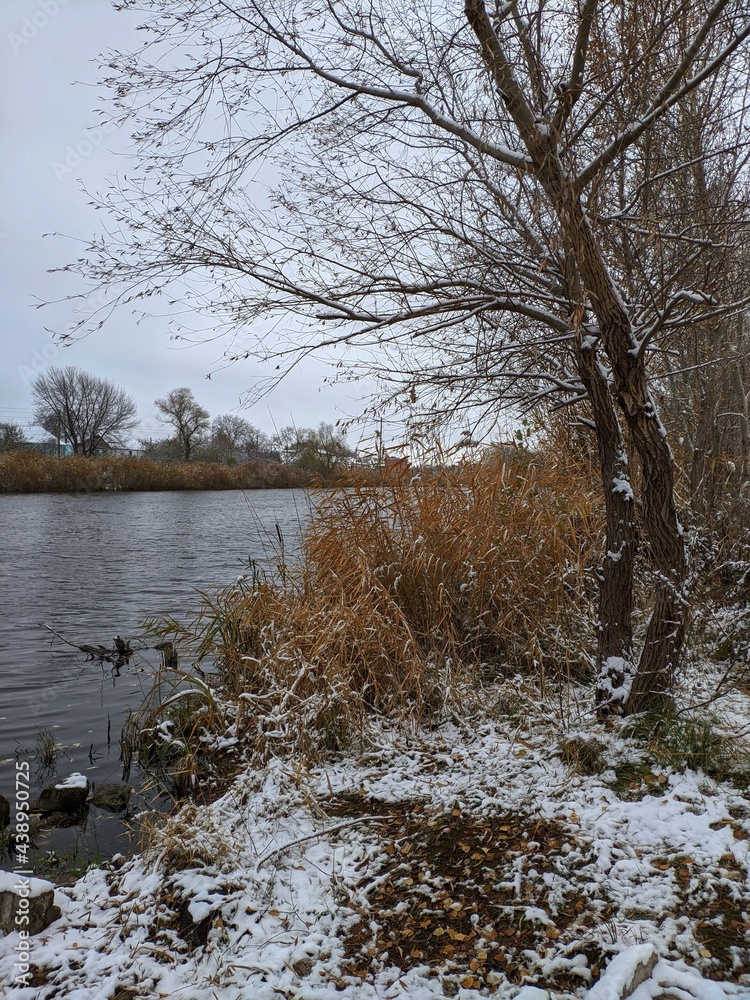 Obraz premium river in winter
