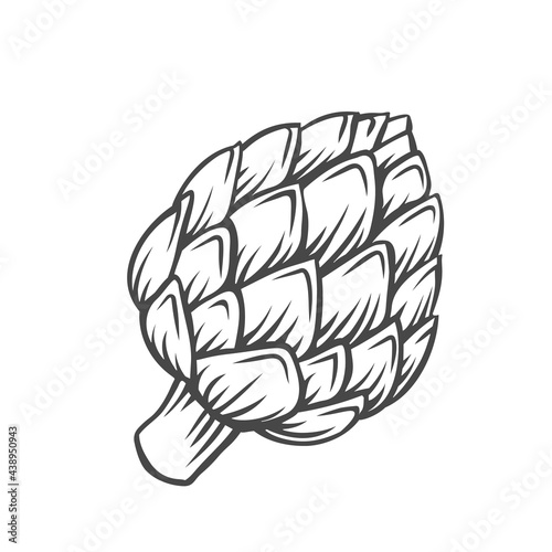 Artichoke flower heads vegetable outline vector icon, drawing monochrome illustration. Healthy nutrition, organic food, vegetarian product.