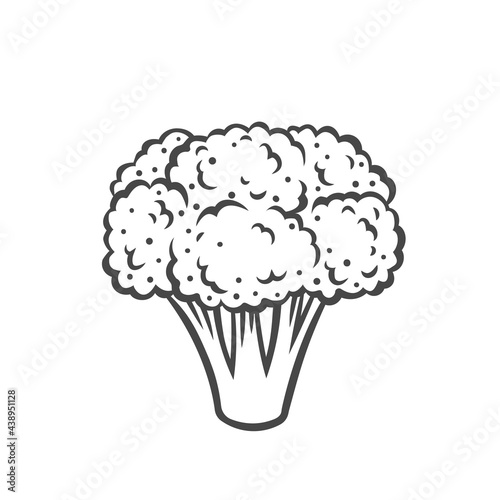 Broccoli vegetable outline vector icon, drawing monochrome illustration. Healthy nutrition, organic food, vegetarian product.