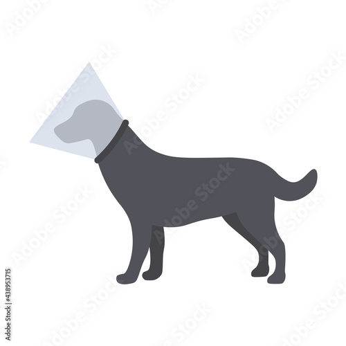 Dog with a cone, protective collar, vector