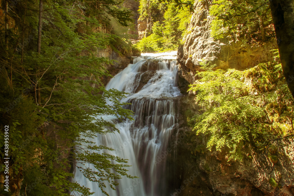 Fototapeta premium Cascada de la cueva en el río Arazas, valle de Ordesa, Pirineos españoles, Huesca, España. Un hermoso paisaje natural del bosque de pinos de montaña a principios de verano.