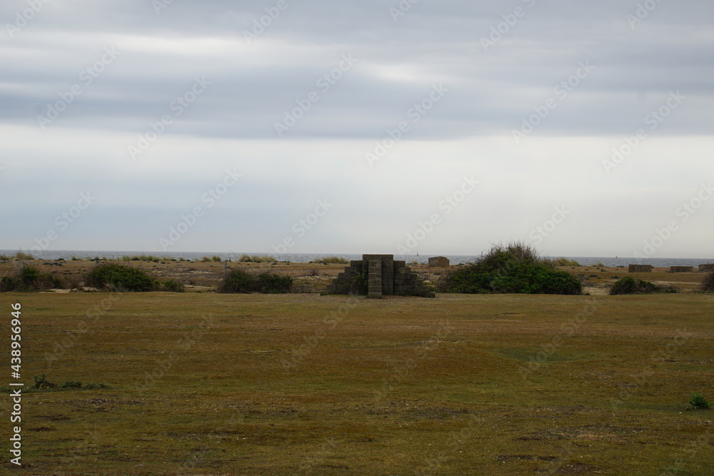 Languard point nature reserve in Felixstowe, May 2021 Languard point nature reserve in Felixstowe, May 2021