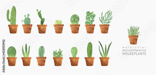 Watercolor succulent and cactus houseplants set. Hand drawn summer illustration with potted plants isolated on white. Perfect for greeting card, invitation, logo, stickers and other.