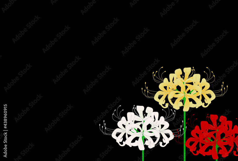 カラフルな彼岸花の背景イラスト Stock Vector Adobe Stock