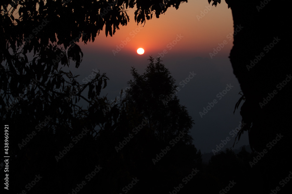 sunrise behind the tree on the early morning with golden sky. Sunrise behind the grass on the grass field sunrise behind the tree on the early morning with golden sky. Sunrise behind the grass on the grass field