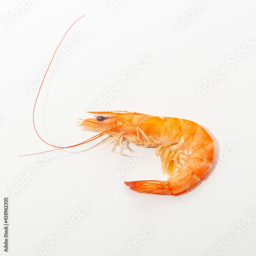 A shrimp is isolated in the white background.