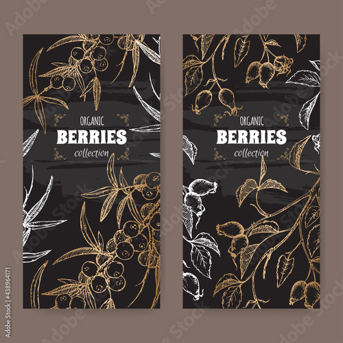 Set of two labels with dog rose and Common sea buckthorn branch sketch on black. Berry fruits series.