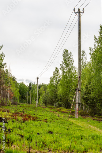Low angle vertical photo of old wooden electric pole and transmission lines standing among bright green grass and forest in spring. Weathered timber electric poles and transmission wires in wetland.