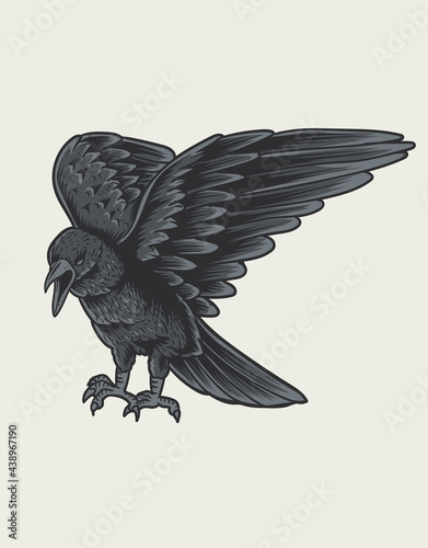 illustration crow bird o white background