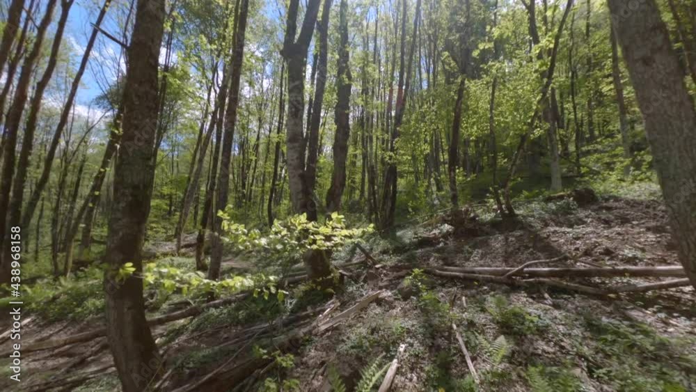 Mtb biker in fullface helmet rides along extreme downhill track among green dense trees under bright sunlight in bike-park fpv drone follows Mtb biker in fullface helmet rides along extreme downhill track among green dense trees under bright sunlight in bike-park fpv drone follows