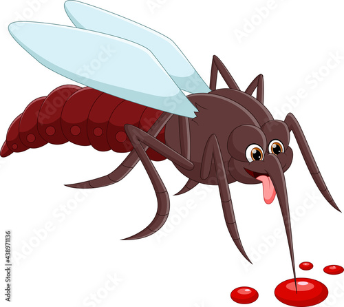 cartoon mosquito drinking blood on white background