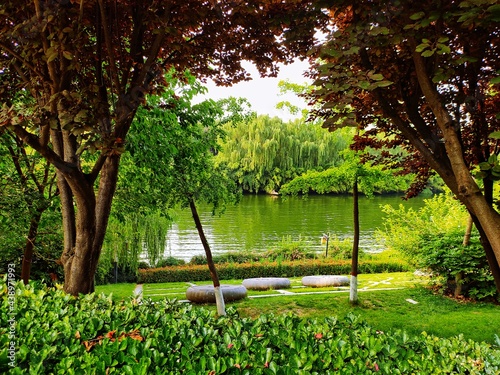 the trees and the lake, a view of Hancheng lake,XIAN photo