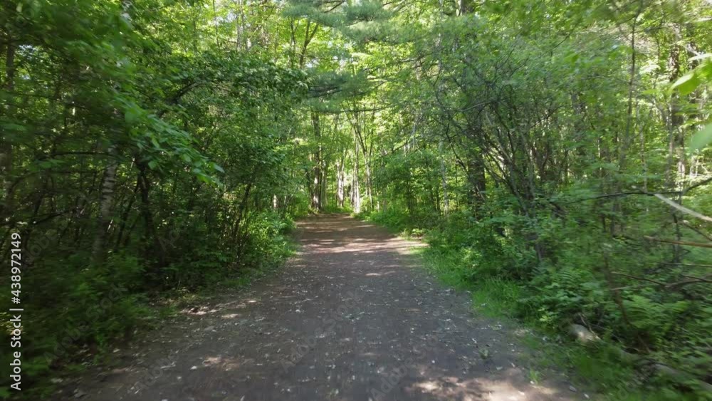 Walking down a beautiful forest path on a sunny summer day, first person view. Walking down a beautiful forest path on a sunny summer day, first person view.