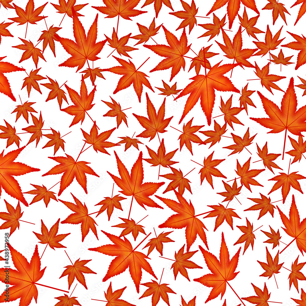 秋の背景イメージ素材　舞い落ちる紅葉　（2）
