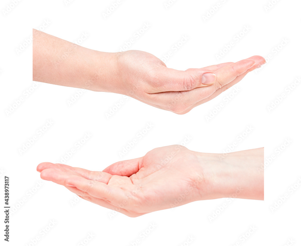 Caucasian woman hands holding something isolated on white background.