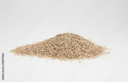 Grass Seed