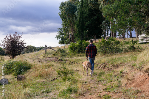 Man walking greyhound dog in the countryside