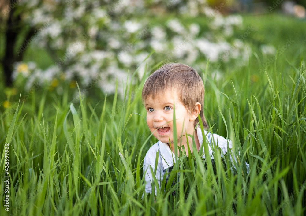 A cute boy with expressive blue eyes in a fashionable jumpsuit smiles funny and hides in the tall green grass A cute boy with expressive blue eyes in a fashionable jumpsuit smiles funny and hides in the tall green grass