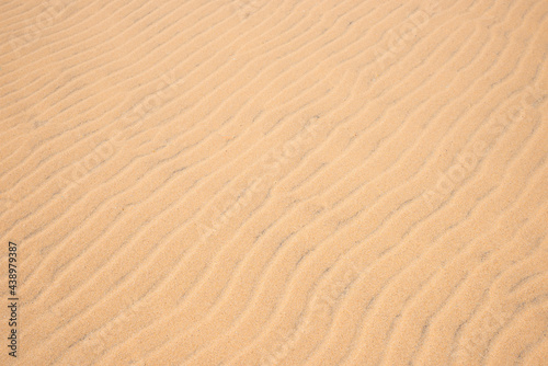 rippled sandy background texture