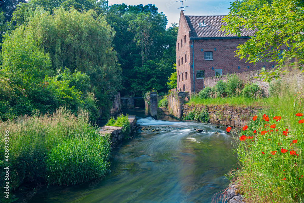 Fototapeta premium Long exposure of a water rapid of the Nekummer watermill in the Jeker river in the valley with blooming wild flowers and a old cottage just outside Maastricht